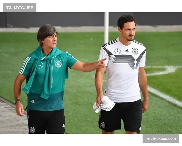 汉堡后卫武斯科维奇膝关节受伤 四月最新检查确认伤情